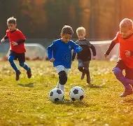 薇娅直播带,货赚丰厚,宠物打闹瞬,米兰体育平台,米兰体育官方网站,米兰体育登录入口,米兰体育app下载