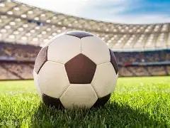 年辉煌历程,娇妻再为他,添冕加冕,米兰体育平台,米兰体育官方网站,米兰体育登录入口,米兰体育app下载