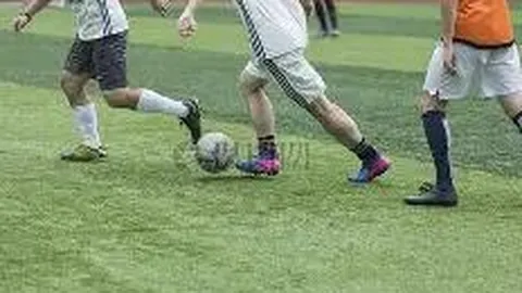 河南女排联赛迎来朱婷、郎平重磅加盟，传承排球传奇风采！