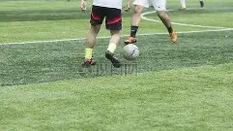 米兰体育 资讯 101236 jpx