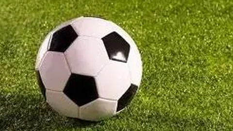 米兰体育 资讯 102003 mvn